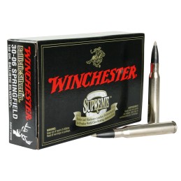 Winchester Ammo SBST3006 Ballistic Silvertip  3006 Springfield 150 gr Rapid Controlled Expansion Polymer Tip 20 Per Box 10 Case