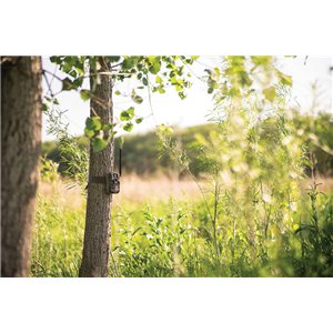 Fusion Max Cellular Trail Cam