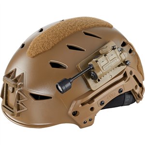 Sidewinder Stalk Coyote