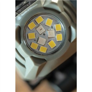 Night Guard Headlamp Quad