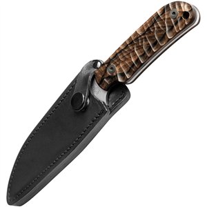 Commandeur Fixed Blade