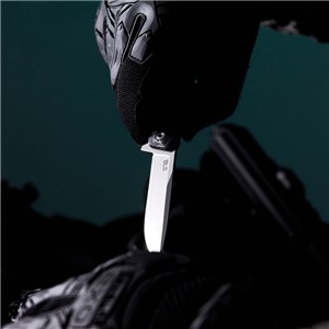 F2 Bravo Linerlock CF/Silver