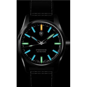 ProTek Field Watch 3002 Series