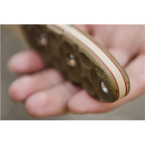 CAT-Covert Anti Terrorism