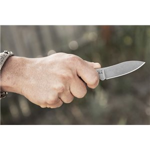 Bird and Trout Knife