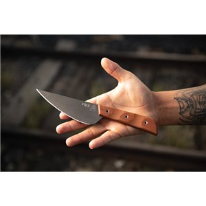 Frog Market Special Fixed