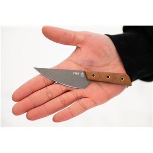 Frog Market Special Mini