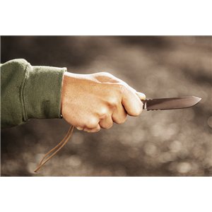 Rocky Mountain Spike