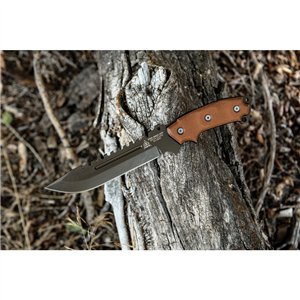 Steel Eagle 107C Delta