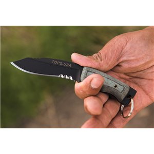 Steel Eagle/Mini Eagle Combo