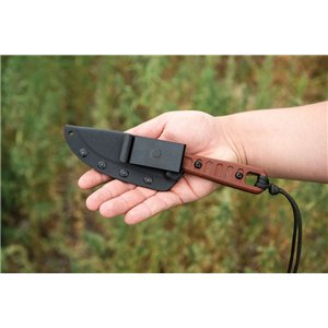 Lite Trekker Survival