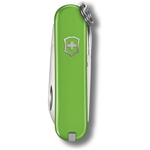 Classic SD Smashed Avocado