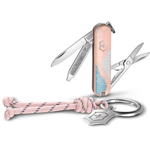 Classic SD Paris Style