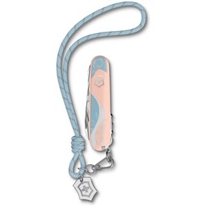 Companion Paris Style