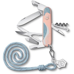 Companion Paris Style