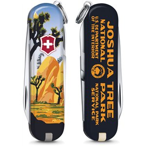 Classic Joshua Tree Natl Park