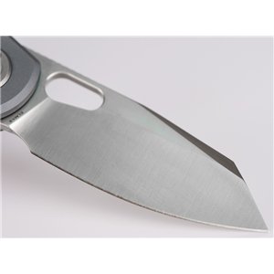 Ankylo Vanchor Lock Gray