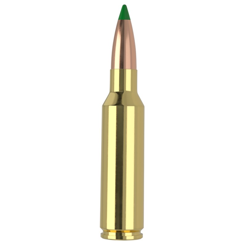 Nosler 61035   300WSM 165gr Ballistic Tip 20 Per Box10 Case