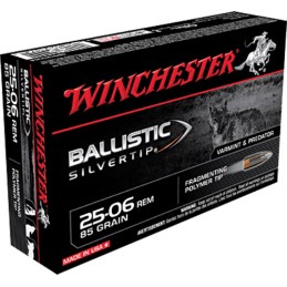 Winchester Ammo SBST2506A Ballistic Silvertip  2506Rem 85gr Fragmenting Polymer Tip 20 Per Box10 Case