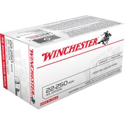 Winchester Ammo USA222502 USA  22250Rem 45gr Jacketed Hollow Point 40 Per Box10 Case