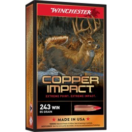 Winchester Ammo X243CLF Copper Impact  243Win 85gr Copper Extreme Point Lead Free 20 Per Box10 Case